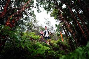 BIB: 
                            <button type="button" onclick="openModal(26202792)" class="btn btn-primary btn-sm float-right btn-popup" data-toggle="modal" data-target=".modal-high-quality">
                        <i class="fas fa-shopping-cart"></i> Add to Cart
                    </button>
                                            <button type="button" onclick="isThisMe(26202792, true)" class="btn btn-success btn-sm float-right btn-popup btn-isme hidden" data-toggle="tooltip" data-placement="bottom" title="นี่คือรูปของคุณใช่ไหม คลิกที่นี่เพื่อเอาเข้าอัลบั้ม">
                        <i class="fas fa-plus"></i> Add to album
                    </button>
                    <button type="button" onclick="isThisMe(26202792, false)" class="btn btn-warning btn-sm float-right btn-popup btn-isnotme hidden">
                        <i class="fas fa-ban"></i> Remove from album
                    </button>